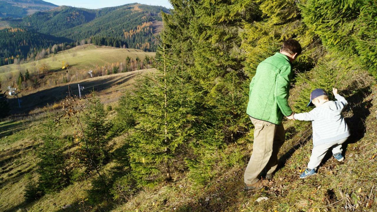 Turisticka Ubytovna Pod Kralovou HolouTelgárt エクステリア 写真